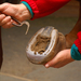 Owner cleaning out and picking horse's hoof