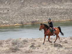 Obstacles and trail conditions affecting a horse's shoes
