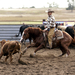 Cutting horse shows the benefits of interval training.