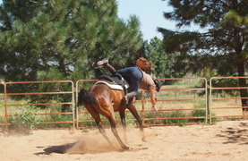 A rider thrown from spooked horse.