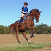 Importance of recognizing your goals for your particular equine athlete.