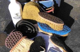 Essential tools for caring for your horse