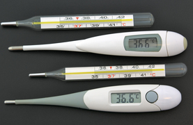 Digital and traditional rectal thermometers suitable for horses. Which works best?