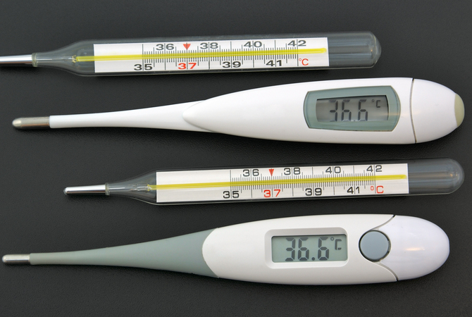 Digital and traditional rectal thermometers suitable for horses. Which works best?