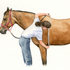 Taking measurements for horse weight calculations.