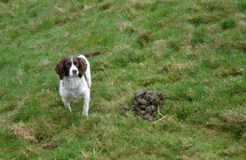 Don't you dare eat that!