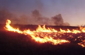 A wildfire racing through farmland near Elko Nevada