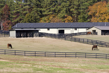 A large horse facility.