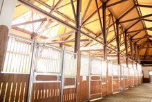 Barn interior with plenty of light and ventilation.