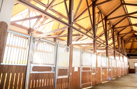 A healthy barn with plenty of light and ventilation.