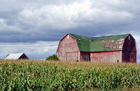 Exterior of barn that needs some upkeep.