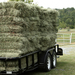 Freshly-cut grass hay on its way to storage.