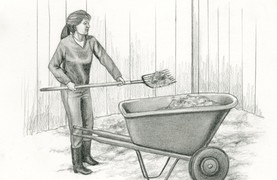 Woman mucking stall.