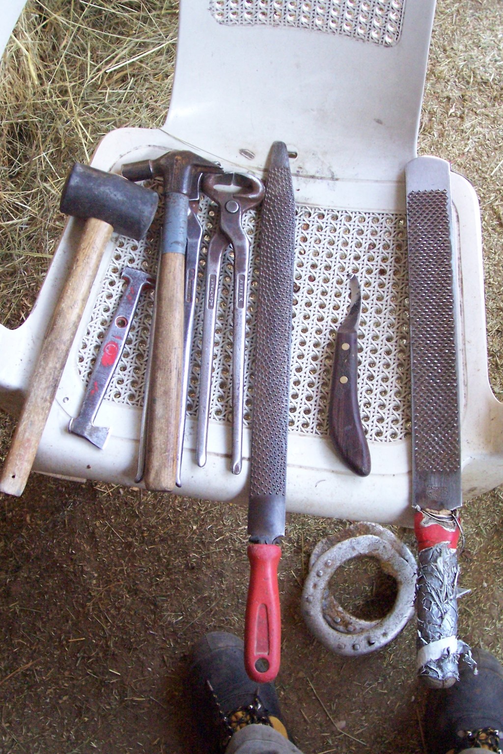 Horse Shoeing Tools to Have on Hand