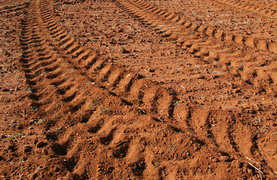 Soil rich in iron - Effect on hay for your horse's diet.