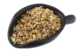 A scoop of grain mix