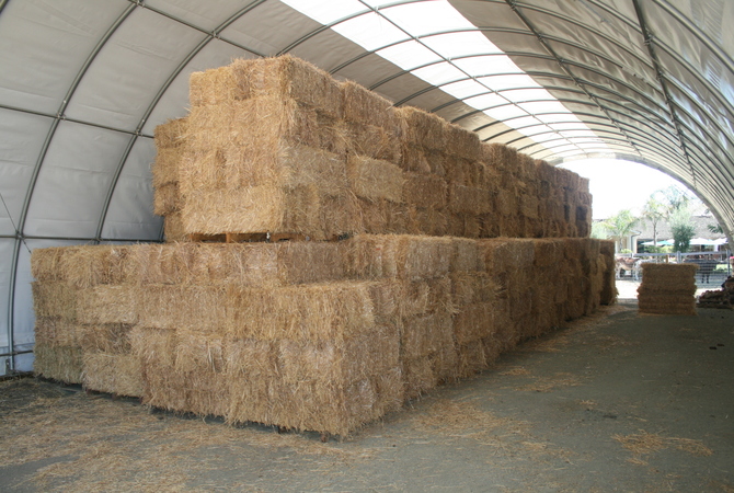 Oat hay carefully stored in a barn