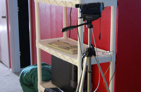 Video monitoring equipment for monitoring mare and new foal.