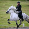 Horse and rider showing their skills at a riding school.