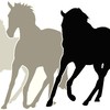 Great opportunity for young horse artists