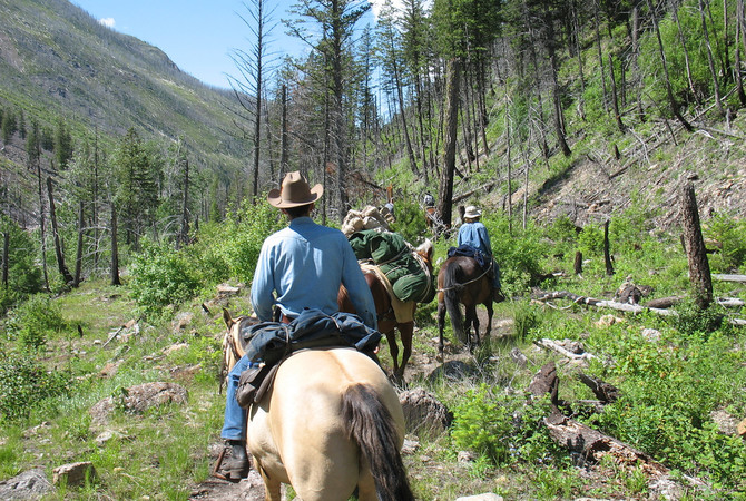 Trail riders and their horses on a mountain trail.