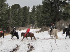 Riders on horseback making their way through a forest after a snow storm.