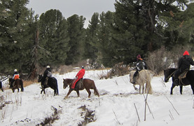 Riders on horseback making their way through a forest after a snow storm.