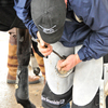 Applying horse hoof pad.