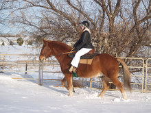 Horse and rider enjoying winter weather.