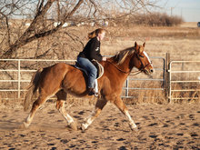 Horse and rider in fall setting.