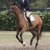 Breathing help for active horses.