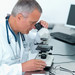Researcher using microscope to diagnose dause of death of racehorse.