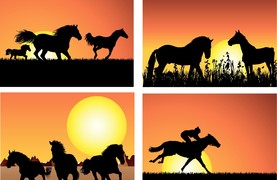 Time to retreat to a cool barn.