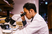 Researcher in equine diagnostic lab peering into microscope.