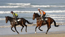 Riders and horses exercising on the beach.