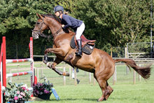 Horse and rider on obstacle course.