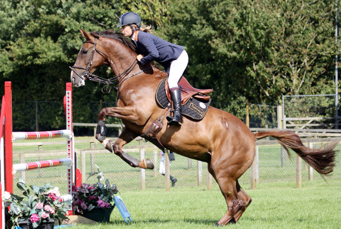 A jumping horse showing motion of legs.