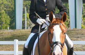 The many benefits of a consistent daily workout.