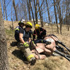 Learning horse rescue best practices