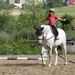 Relaxed girl enjoying her horseback ride.