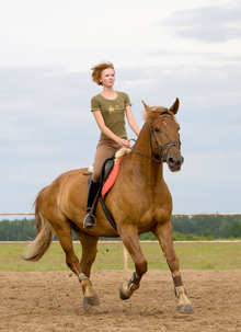 Woman and horse engaged in cantering in a field.