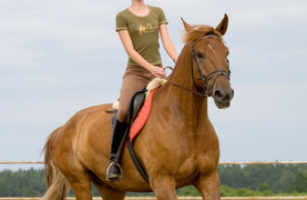Rider on a cantering horse.