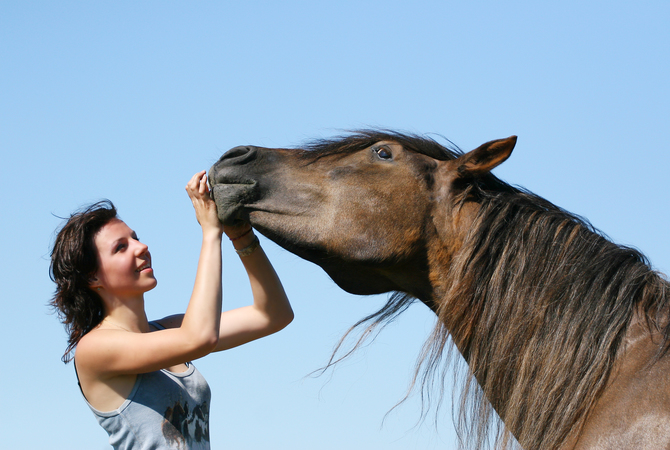 Woman attempting to get horse to cooperate so she can examine mouth and teeth.