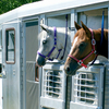 Two horses looking out of the window of a small horse travel trailer.