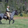 Equine therapy for veterans