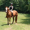 A smiling woman with the "right horse"!