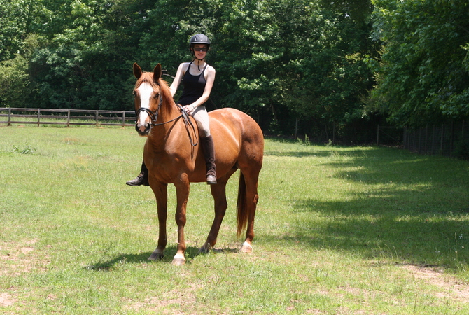 Retired Thoroughbred on a trail ride with new owner.