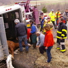 Emergency responders rescuing an injured horse.