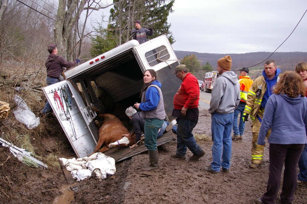 Animal Rescue Team Number