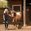 Woman leading an emaciated horse from a stable at Days End Farm Horse Rescue.